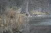 <img100*0:stuff/z/73640/Frio%2520River%2520reference.2/i1265158438_6.jpg>