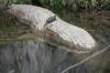 <img100*0:stuff/z/73640/Frio%2520River%2520reference.2/i1265158438_8.jpg>