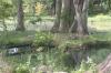 <img100*0:stuff/z/73640/Frio%2520River%2520reference.2/i1265158439_14.jpg>