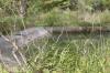 <img100*0:stuff/z/73640/Frio%2520River%2520reference.2/i1265158439_16.jpg>