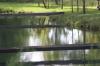 <img100*0:stuff/z/73640/Frio%2520River%2520reference.2/i1265160305_1.jpg>