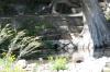 <img100*0:stuff/z/73640/Frio%2520River%2520reference.2/i1265160305_4.jpg>