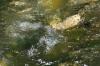<img100*0:stuff/z/73640/Frio%2520River%2520reference.2/i1265160305_5.jpg>