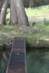 <img100*0:stuff/z/73640/Frio%2520River%2520reference.2/i1265160305_6.jpg>