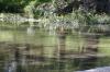 <img100*0:stuff/z/73640/Frio%2520River%2520reference.2/i1265160305_7.jpg>