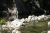 <img100*0:stuff/z/73640/Frio%2520River%2520reference.2/i1265160305_8.jpg>