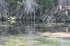 <img100*0:stuff/z/73640/Frio%2520River%2520reference.2/i1265160306_10.jpg>