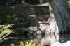 <img100*0:stuff/z/73640/Frio%2520River%2520reference.2/i1265160306_11.jpg>
