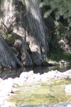 <img100*0:stuff/z/73640/Frio%2520River%2520reference.2/i1265160306_9.jpg>