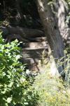 <img100*0:stuff/z/73640/Frio%2520River%2520reference.2/i1265160307_13.jpg>