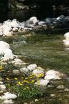 <img100*0:stuff/z/73640/Frio%2520River%2520reference.2/i1265160308_15.jpg>
