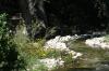 <img100*0:stuff/z/73640/Frio%2520River%2520reference.2/i1265160308_16.jpg>