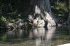 <img100*0:stuff/z/73640/Frio%2520River%2520reference.2/i1265160308_17.jpg>