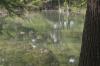 <img100*0:stuff/z/73640/Frio%2520River%2520reference.2/i1265160308_18.jpg>
