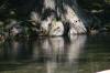 <img100*0:stuff/z/73640/Frio%2520River%2520reference.2/i1265160308_20.jpg>