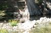 <img100*0:stuff/z/73640/Frio%2520River%2520reference.2/i1265160308_22.jpg>