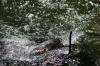 <img100*0:stuff/z/73640/Frio%2520River%2520reference.2/i1265160308_23.jpg>