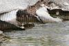 <img100*0:stuff/z/73640/Frio%2520River%2520reference.2/i1265162376_1.jpg>
