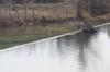 <img100*0:stuff/z/73640/Frio%2520River%2520reference.2/i1265162377_12.jpg>