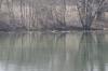 <img100*0:stuff/z/73640/Frio%2520River%2520reference.2/i1265162377_13.jpg>