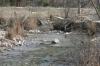 <img100*0:stuff/z/73640/Frio%2520River%2520reference.2/i1265162377_16.jpg>