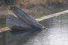 <img100*0:stuff/z/73640/Frio%2520River%2520reference.2/i1265162377_17.jpg>