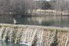 <img100*0:stuff/z/73640/Frio%2520River%2520reference.2/i1265162377_18.jpg>