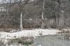 <img100*0:stuff/z/73640/Frio%2520River%2520reference.2/i1265162377_2.jpg>