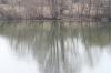 <img100*0:stuff/z/73640/Frio%2520River%2520reference.2/i1265162377_20.jpg>