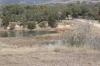 <img100*0:stuff/z/73640/Frio%2520River%2520reference.2/i1265162377_21.jpg>