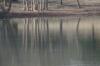 <img100*0:stuff/z/73640/Frio%2520River%2520reference.2/i1265162377_4.jpg>