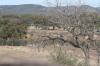 <img100*0:stuff/z/73640/Frio%2520River%2520reference.2/i1265162377_5.jpg>