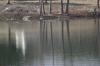 <img100*0:stuff/z/73640/Frio%2520River%2520reference.2/i1265162377_6.jpg>