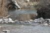 <img100*0:stuff/z/73640/Frio%2520River%2520reference.2/i1265162378_24.jpg>