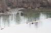 <img100*0:stuff/z/73640/Frio%2520River%2520reference.2/i1265162378_26.jpg>