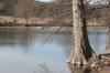 <img100*0:stuff/z/73640/Frio%2520River%2520reference.2/i1265162378_30.jpg>