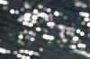 <img100*0:stuff/z/73640/Frio%2520River%2520reference.3/i1278820797_4.jpg>