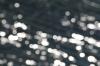 <img100*0:stuff/z/73640/Frio%2520River%2520reference.3/i1278820797_5.jpg>