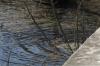 <img100*0:stuff/z/73640/Frio%2520River%2520reference.3/i1278822159_1.jpg>
