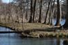 <img100*0:stuff/z/73640/Frio%2520River%2520reference.3/i1278822159_10.jpg>