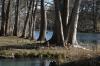 <img100*0:stuff/z/73640/Frio%2520River%2520reference.3/i1278822159_11.jpg>