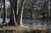<img100*0:stuff/z/73640/Frio%2520River%2520reference.3/i1278822159_12.jpg>