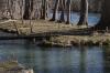 <img100*0:stuff/z/73640/Frio%2520River%2520reference.3/i1278822159_6.jpg>
