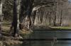 <img100*0:stuff/z/73640/Frio%2520River%2520reference.3/i1278822159_8.jpg>