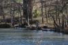 <img100*0:stuff/z/73640/Frio%2520River%2520reference.3/i1278822160_14.jpg>