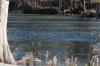 <img100*0:stuff/z/73640/Frio%2520River%2520reference.3/i1278822160_15.jpg>