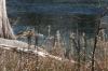 <img100*0:stuff/z/73640/Frio%2520River%2520reference.3/i1278822160_16.jpg>