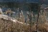 <img100*0:stuff/z/73640/Frio%2520River%2520reference.3/i1278822160_17.jpg>