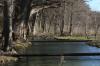 <img100*0:stuff/z/73640/Frio%2520River%2520reference.3/i1278822160_21.jpg>
