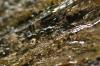 <img100*0:stuff/z/73640/Frio%2520River%2520reference.3/i1278823391_12.jpg>
